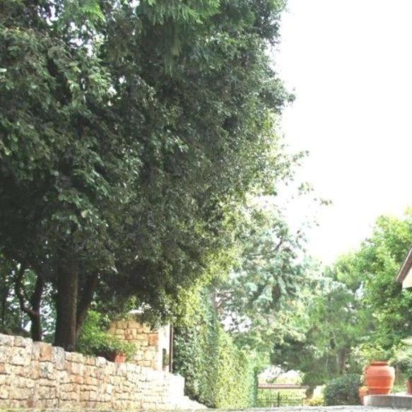 Casa Marisa Villa Vacanza Кастелана Гроте Екстериор снимка