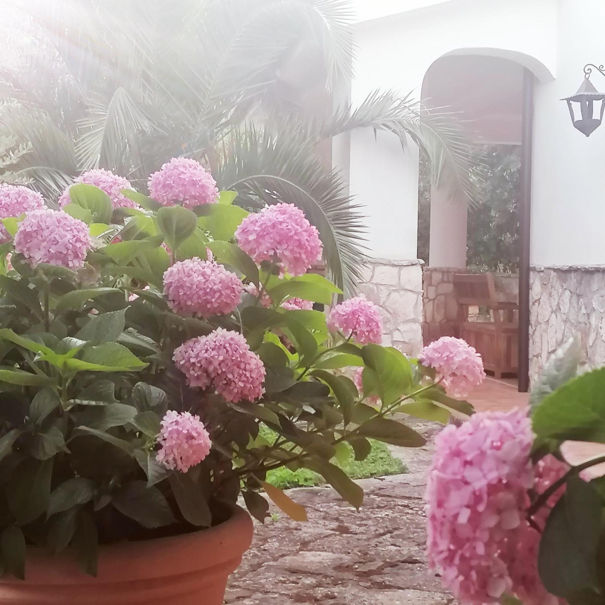 Casa Marisa Villa Vacanza Кастелана Гроте Екстериор снимка